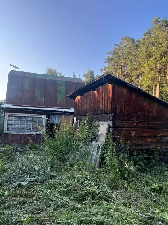 Участок в Свердловская область, Екатеринбург Рябинушка СТ, 11 (4.7 ... - Фото 1