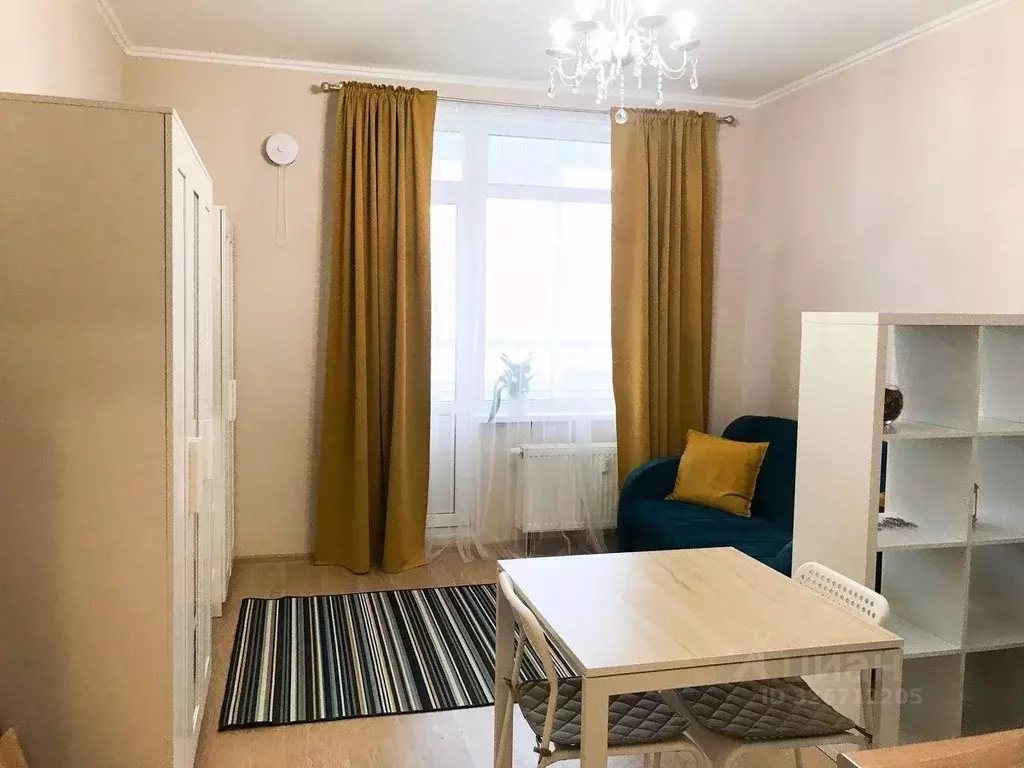 Студия Санкт-Петербург аллея Арцеуловская, 23к1 (23.9 м) - Фото 1