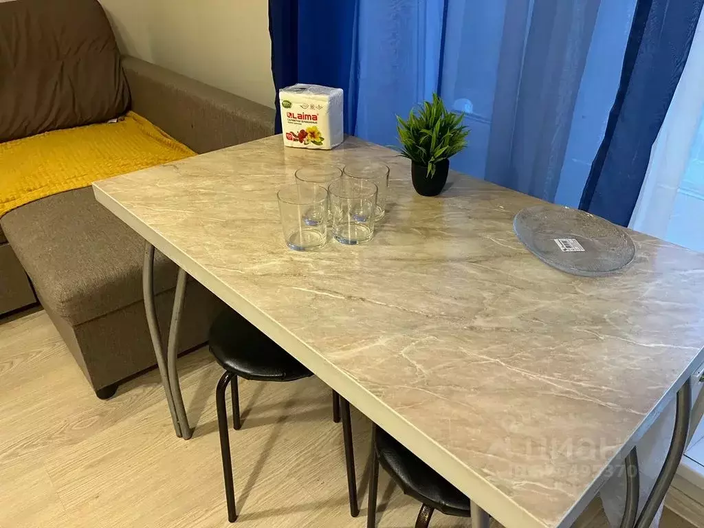 Студия Татарстан, Казань ул. Оренбургский Тракт, 4Б (32.0 м) - Фото 2