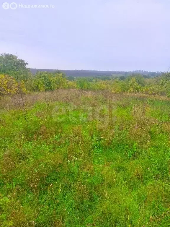 Участок в Краснодарский край, муниципальный округ Анапа, хутор Чекон ... - Фото 1