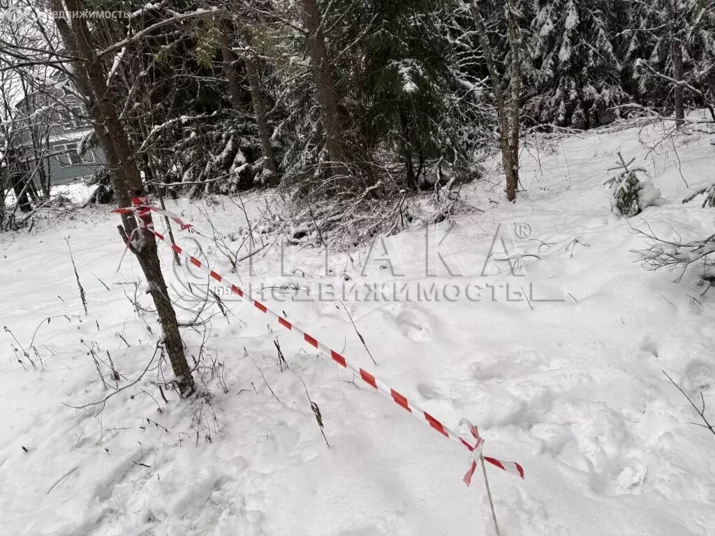 Участок в Янегское сельское поселение, СНТ Пиркиничи (12 м) - Фото 1