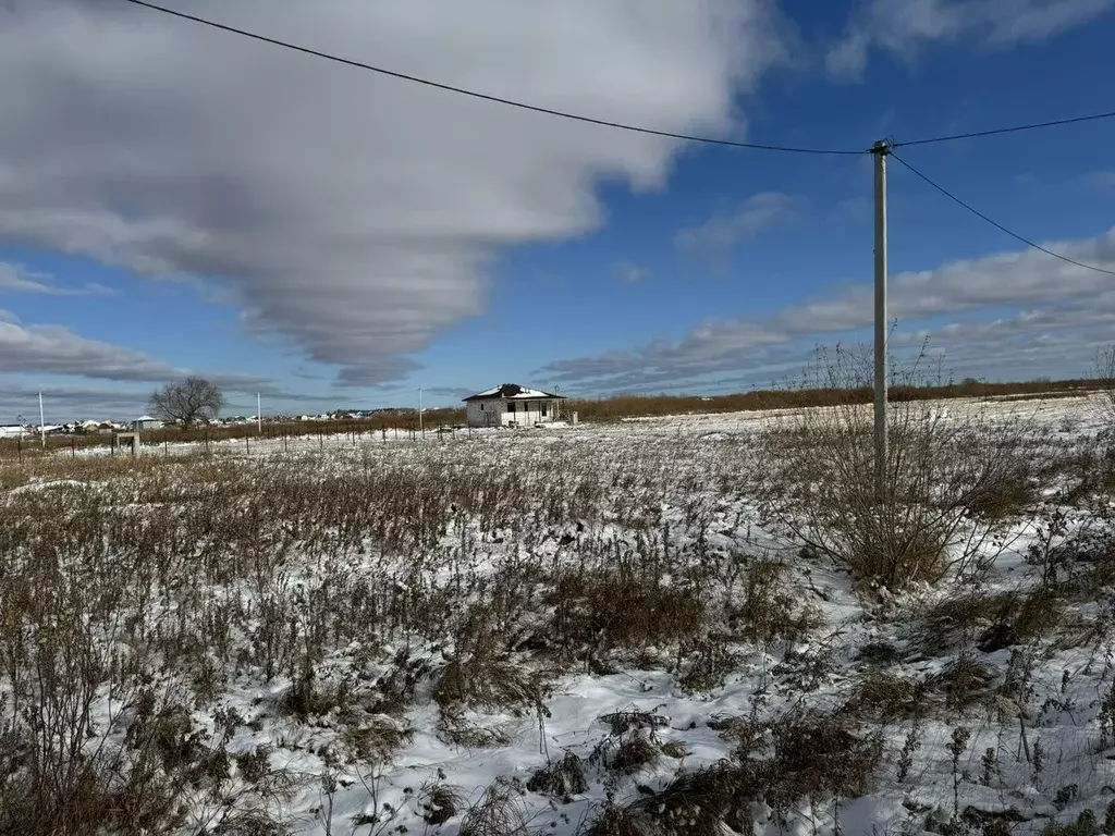 Участок в Тюменская область, Тюменский район, д. Есаулова, Клюква кп  ... - Фото 1