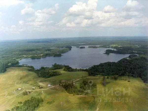 Участок в Новгородская область, Валдайский район, д. Миробудицы  (7.0 ... - Фото 0