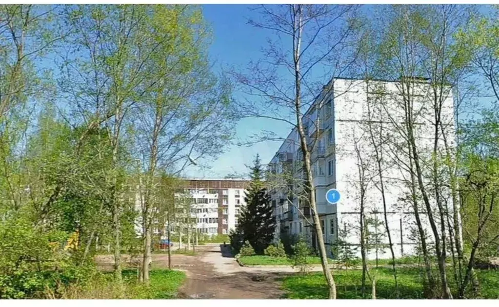 1-к кв. Ленинградская область, Ломоносовский район, Низинское с/пос, ... - Фото 1