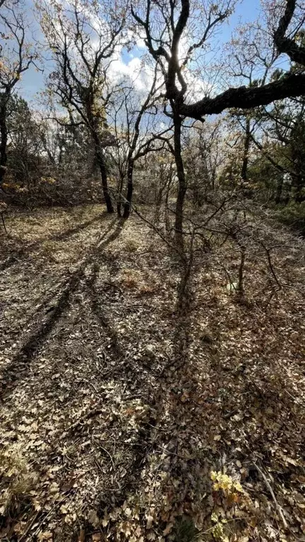 Участок в Севастополь Севастопольская зона ЮБК кв-л, 53/71 (4.0 сот.) - Фото 2