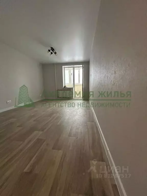 Студия Саратовская область, Саратов ул. Имени Николая Чихарева, 10 . - Фото 0