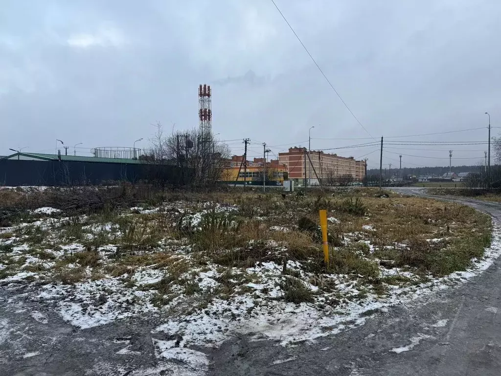 Участок в Московская область, Щелково городской округ, д. Большие ... - Фото 2