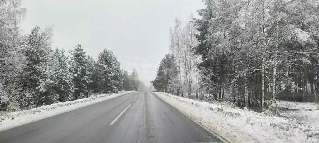 Участок в Владимирская область, Покров городской округ, д. Шиботово ... - Фото 2