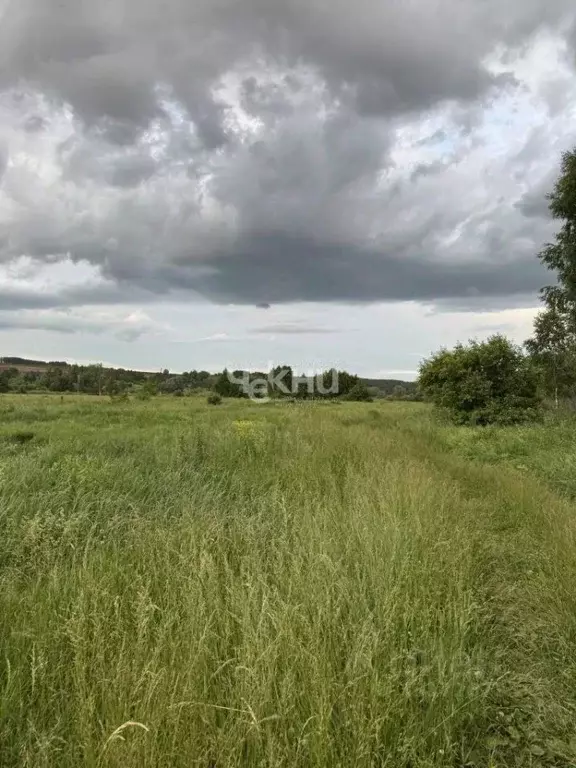 Участок в Нижегородская область, Дальнеконстантиновский муниципальный ... - Фото 2
