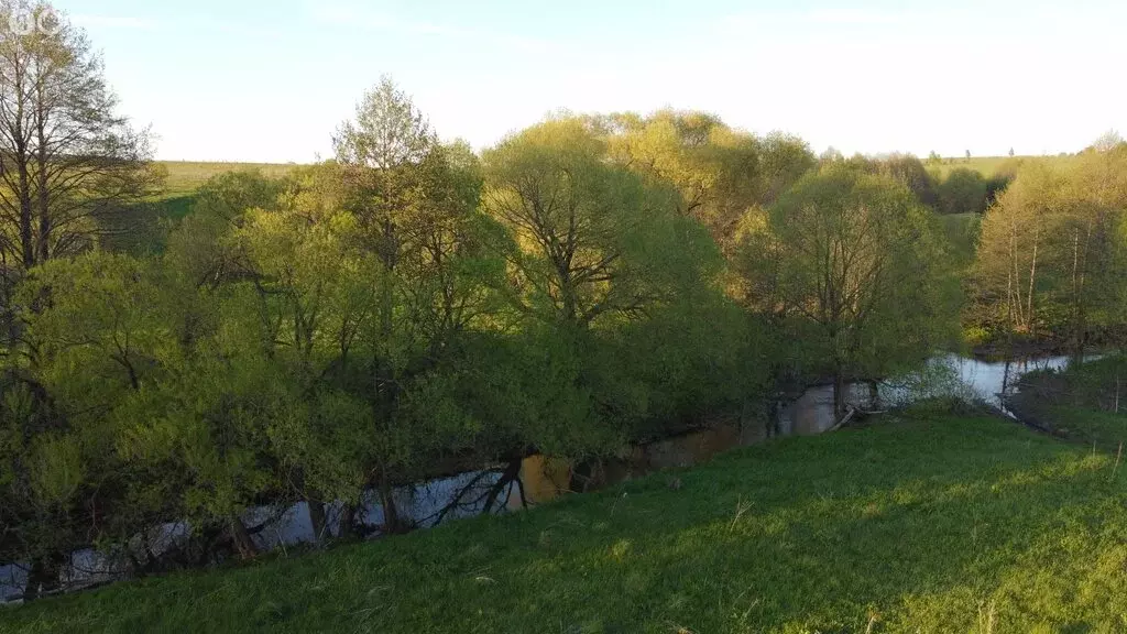 Участок в Заокский район, сельское поселение Демидовское (50 м) - Фото 1