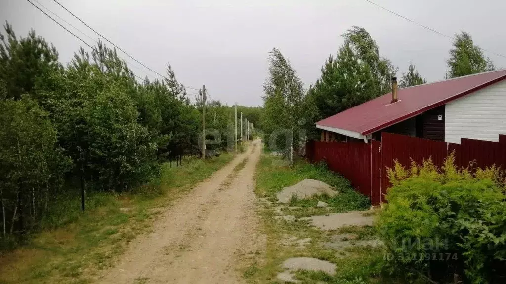 Участок в Челябинская область, Чебаркульский муниципальный округ, ... - Фото 1