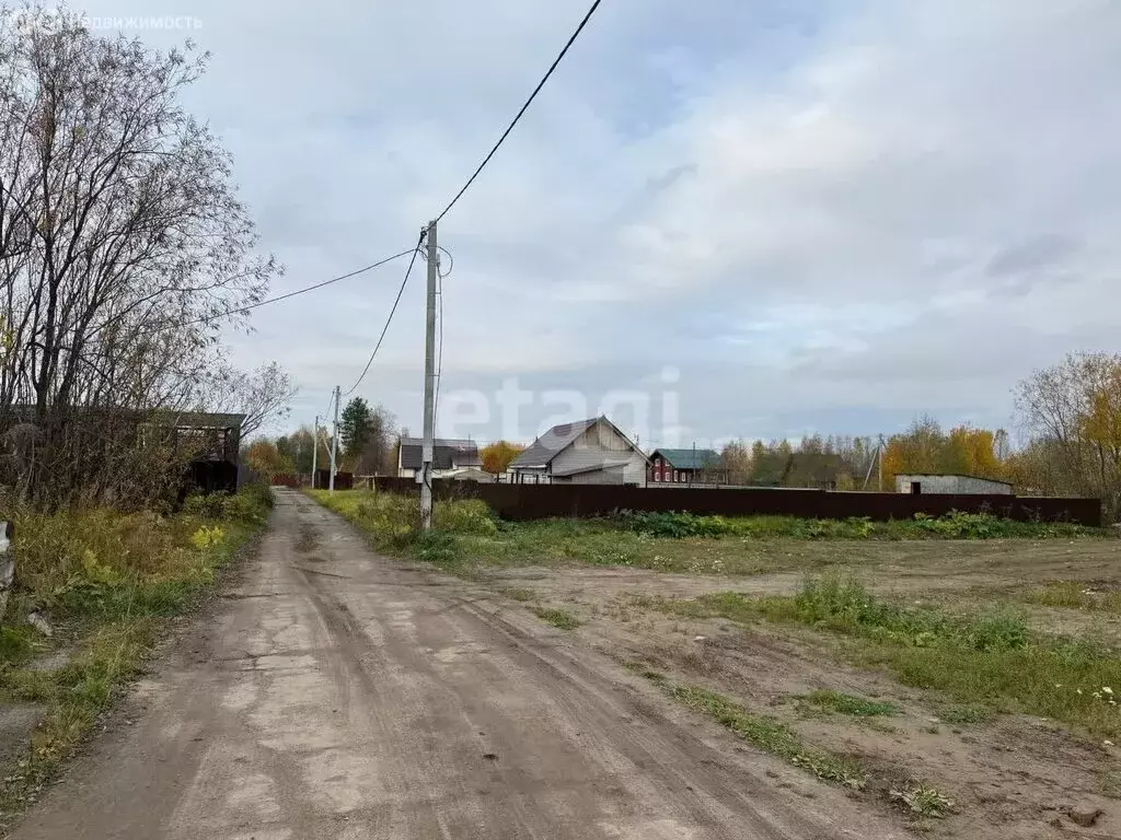 Участок в Архангельская область, Приморский муниципальный округ, ... - Фото 1