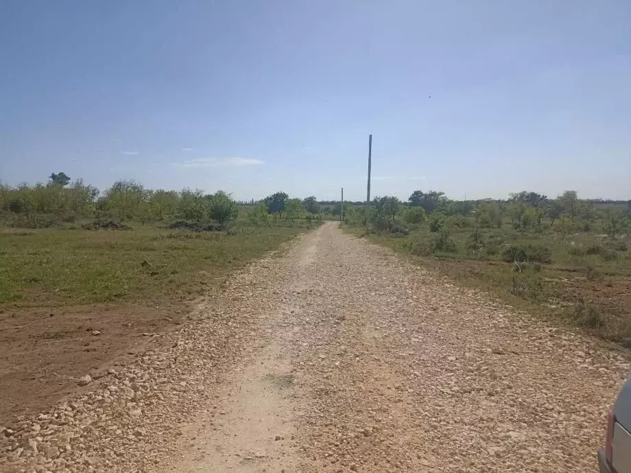 Участок в Крым, Симферопольский район, с. Мазанка ул. ... - Фото 1