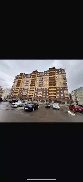 Помещение свободного назначения в Ленинградская область, Тосно г. ... - Фото 1