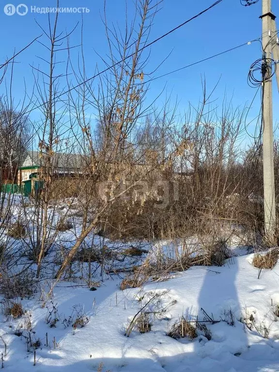 Участок в Пензенская область, село Бессоновка (20 м) - Фото 1