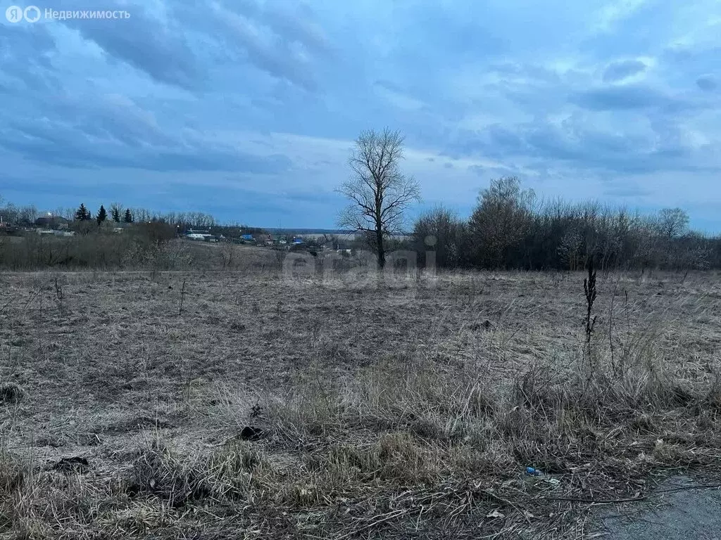 Участок в Чернский район, сельское поселение Северное, деревня Поповка ... - Фото 2