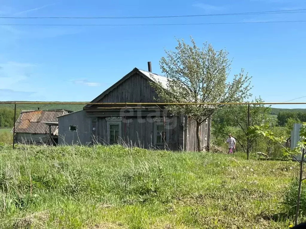 Дом в Мордовия, Большеберезниковский район, с. Гузынцы Комсомольская ... - Фото 0