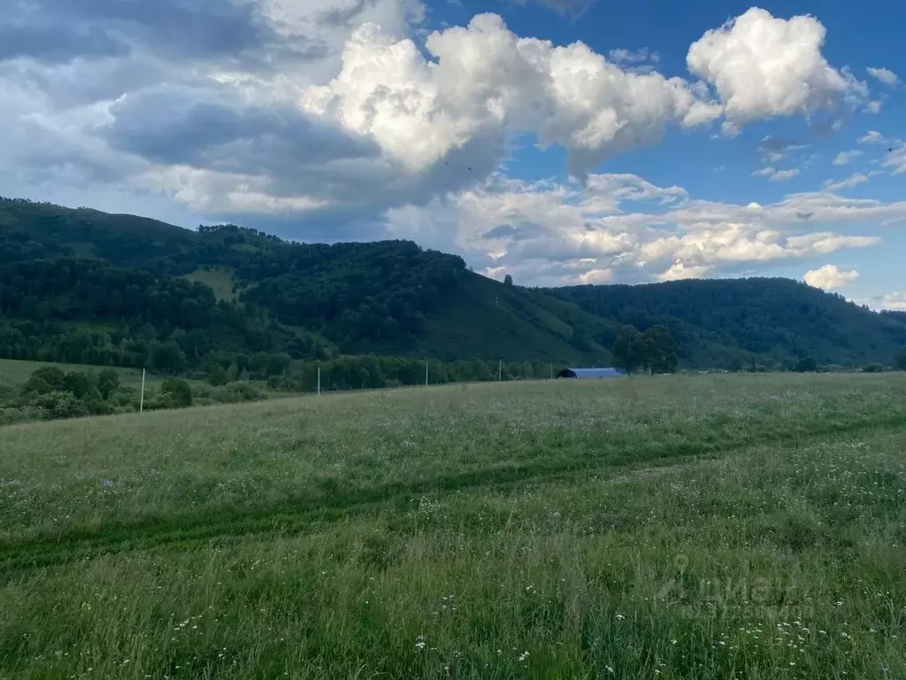 Участок в Алтайский край, Алтайский район, пос. Казанка  (12110.27 ... - Фото 2