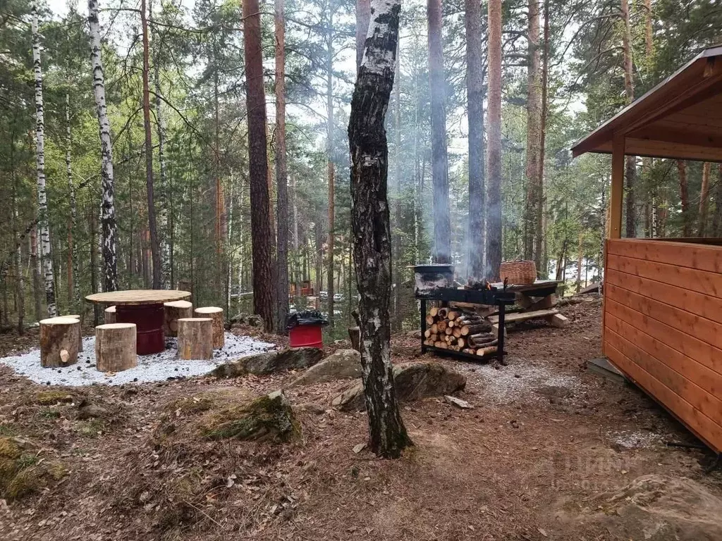 Дом в Челябинская область, Чебаркульский район, Непряхинское с/пос  ... - Фото 1