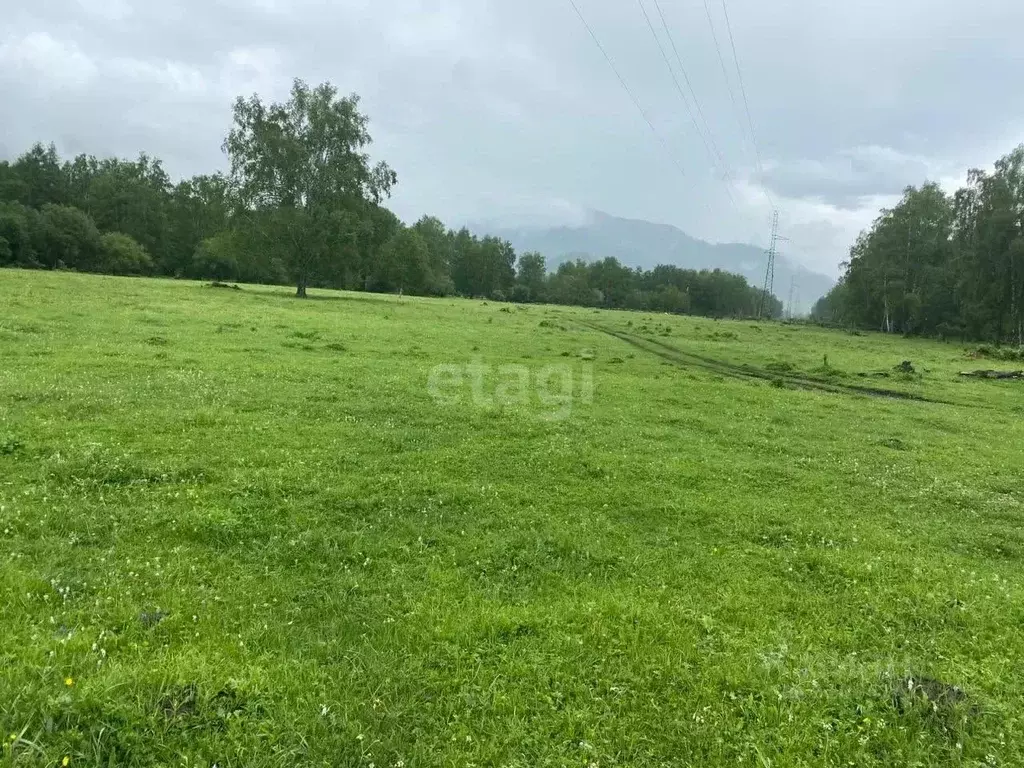 Участок в Алтай, Онгудайский район, с. Каракол  (43.0 сот.) - Фото 0