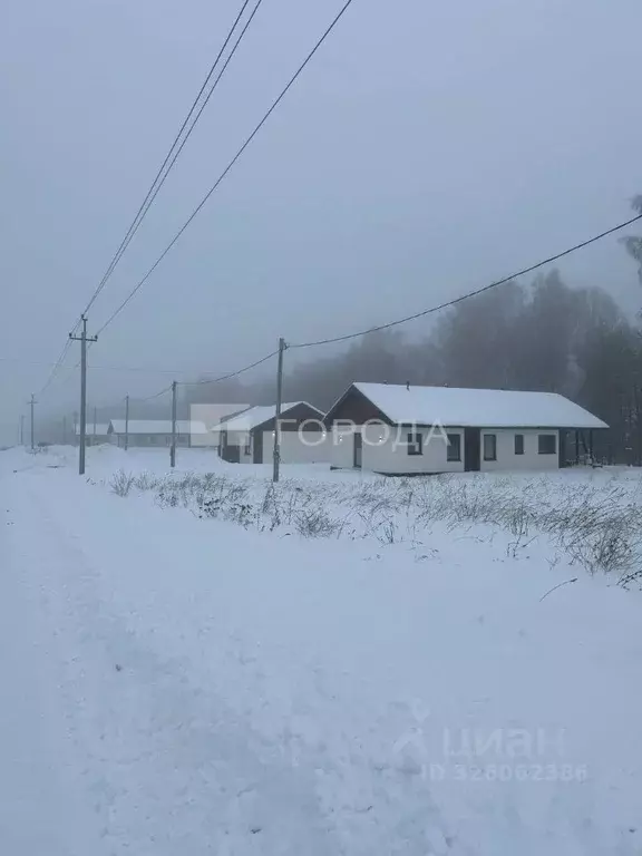 Участок в Новосибирская область, Новосибирский район, Раздольненский ... - Фото 1