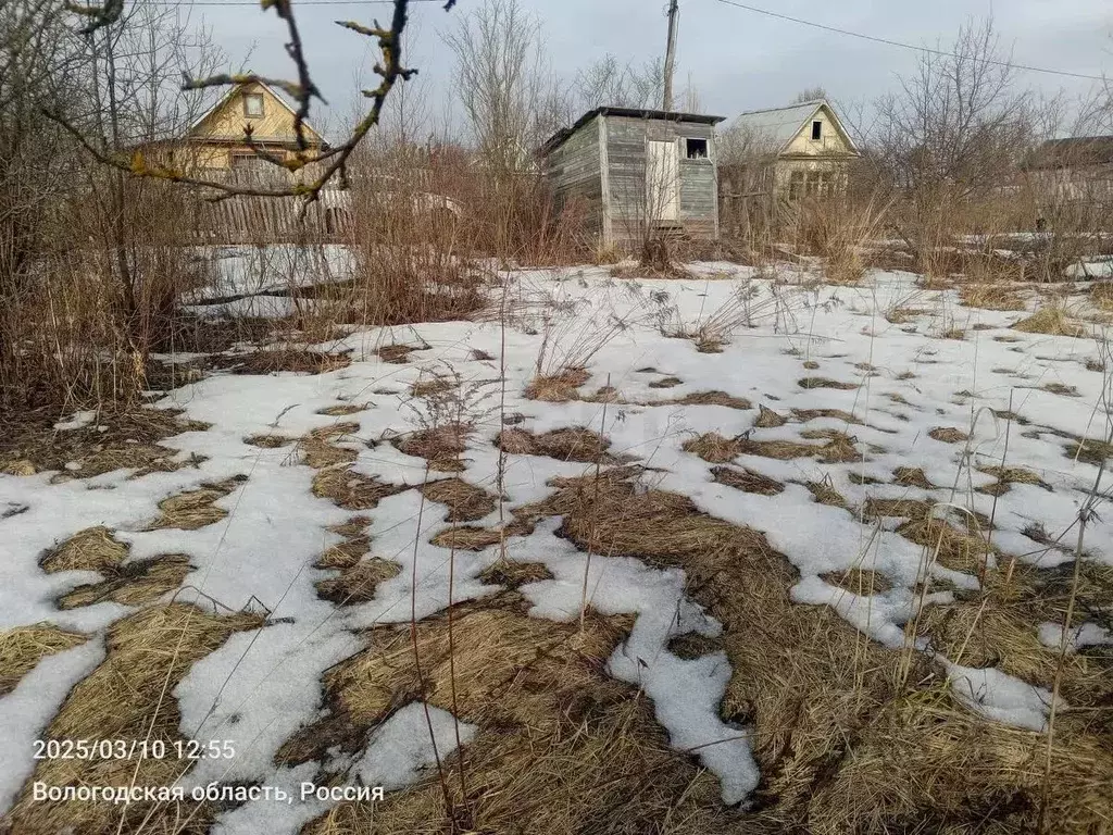 Участок в Вологодская область, Череповец № 1 Металлург СНТ, 7-я линия ... - Фото 0