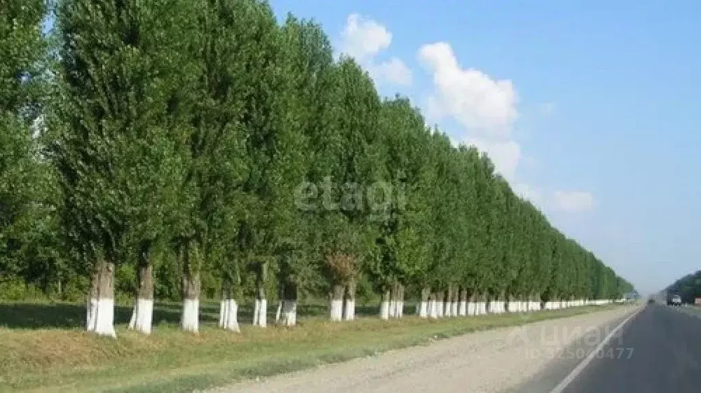 Участок в Краснодарский край, Новороссийск городской округ, ... - Фото 2