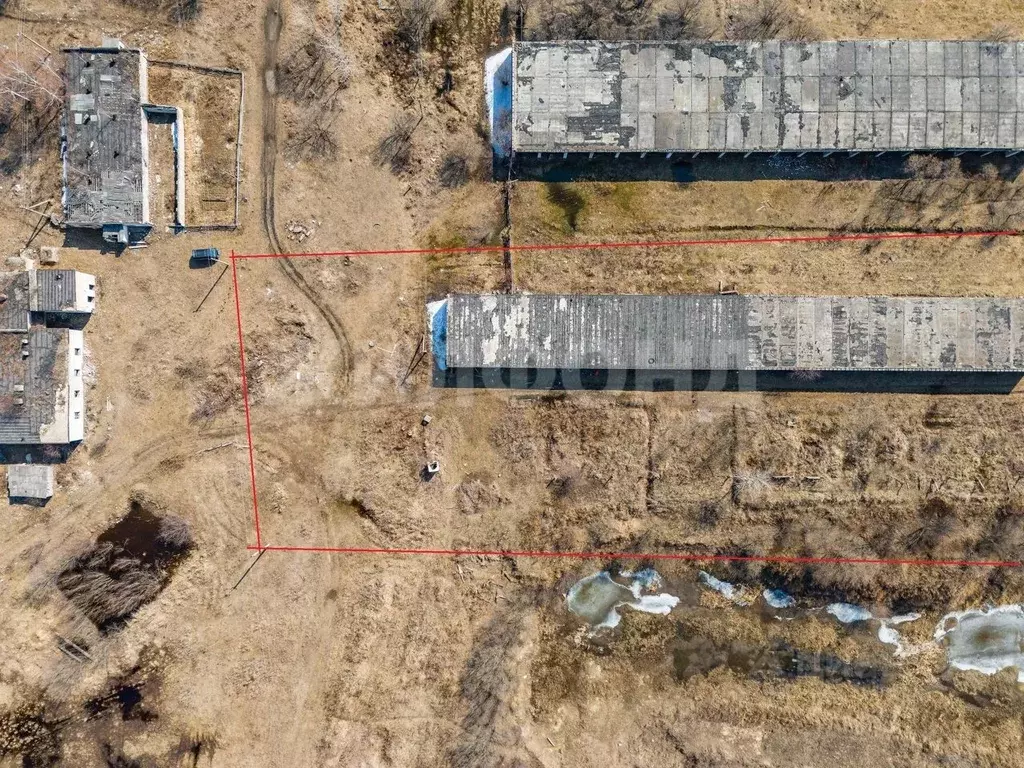 Помещение свободного назначения в Еврейская автономная область, ... - Фото 2