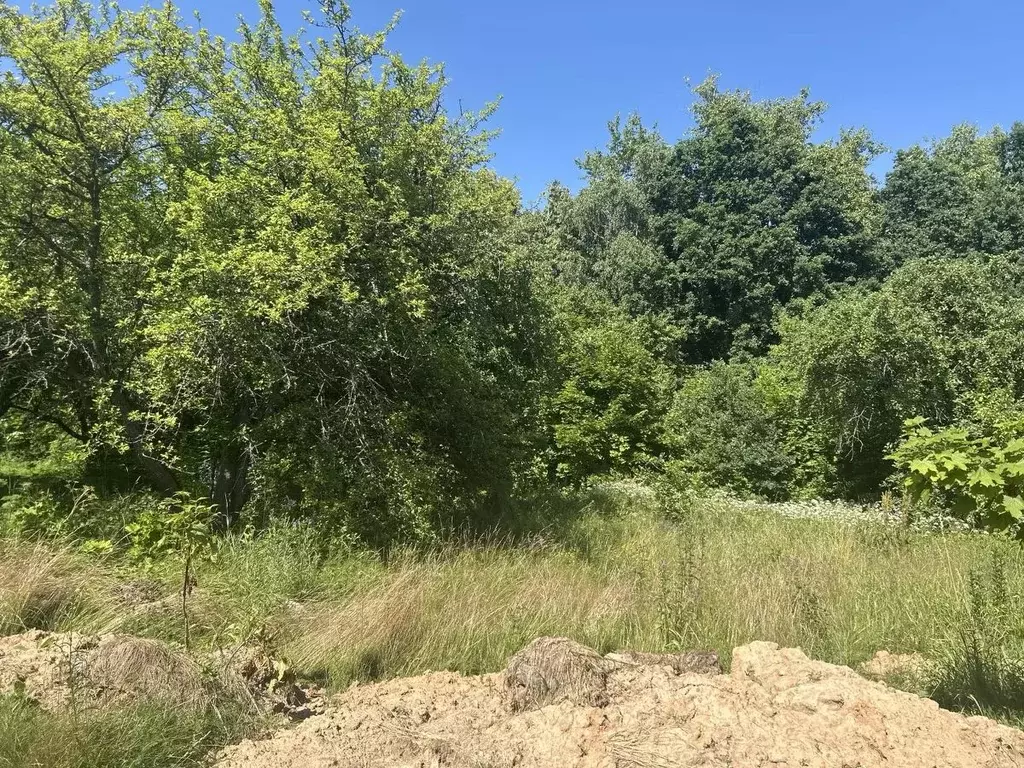 Участок в Московская область, Ступино городской округ, с. Колычево ул. ... - Фото 1