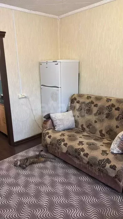 1-к. квартира, 17,7 м, 3/5 эт. - Фото 0