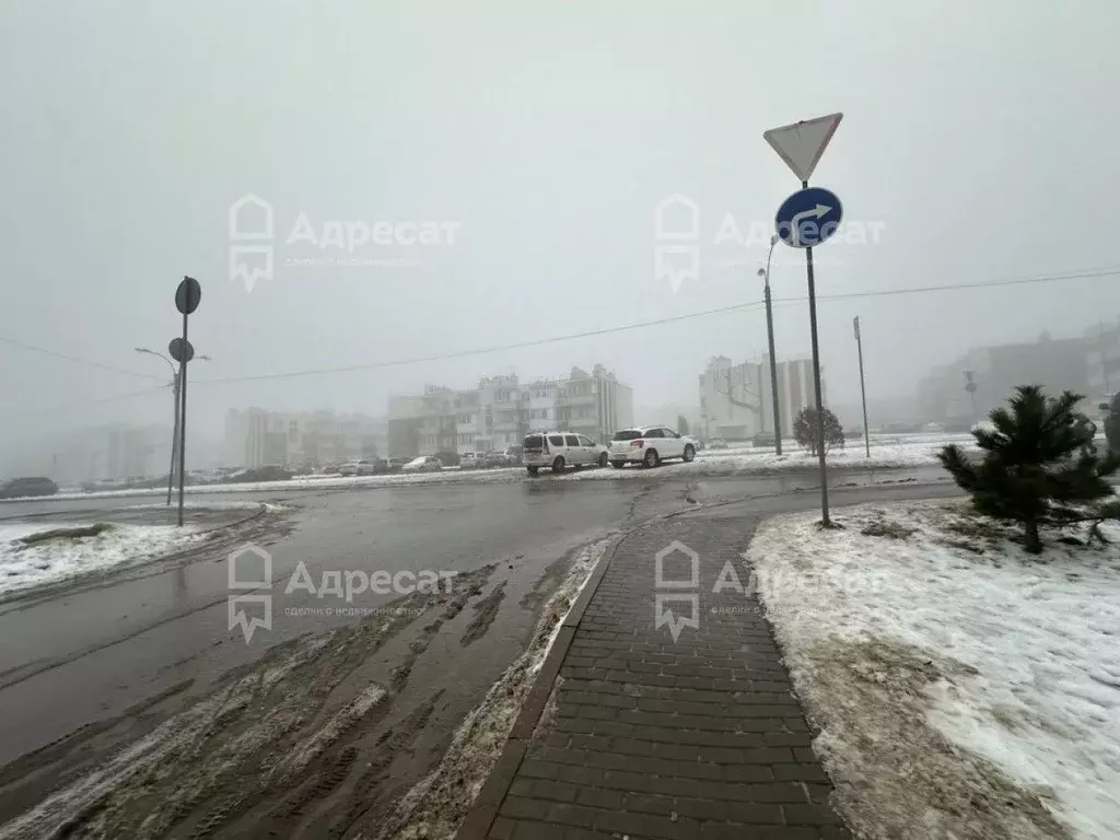 1-к кв. Волгоградская область, Волгоград ул. Грибанова, 24 (32.6 м) - Фото 1