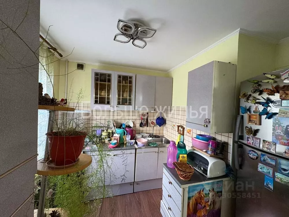 3-к кв. Волгоградская область, Волгоград Елецкая ул., 14 (58.6 м) - Фото 1