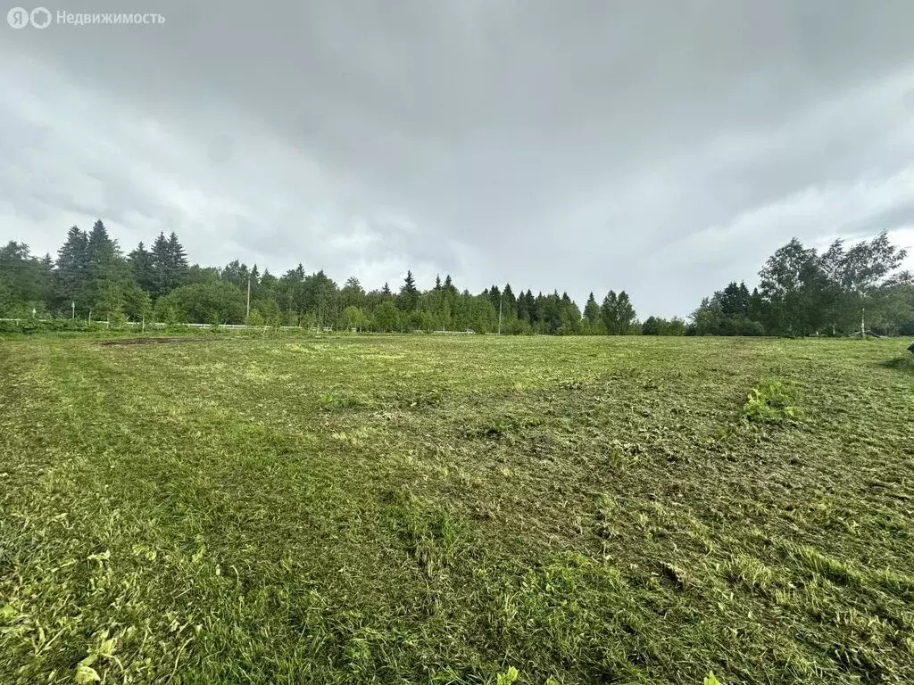 Участок в Сергиево-Посадский городской округ, деревня Житниково (20 м) - Фото 1
