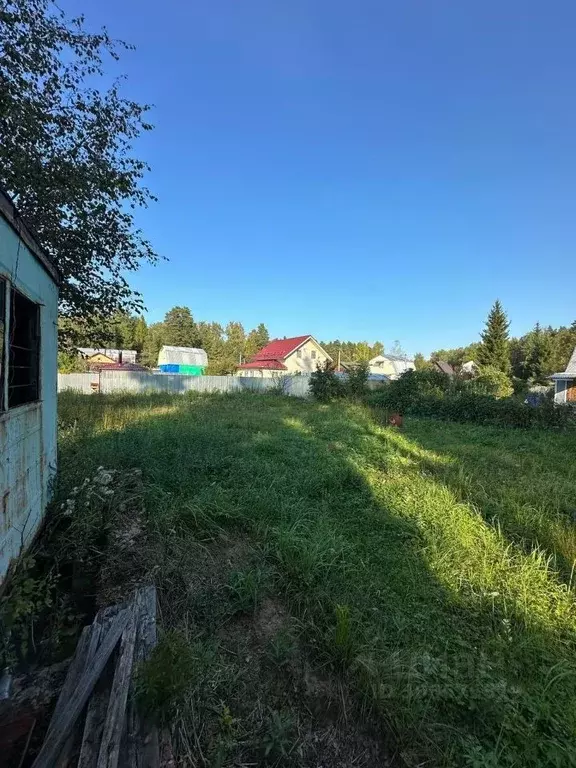 Участок в Московская область, Щелково городской округ, Надежда СНТ 86 ... - Фото 1