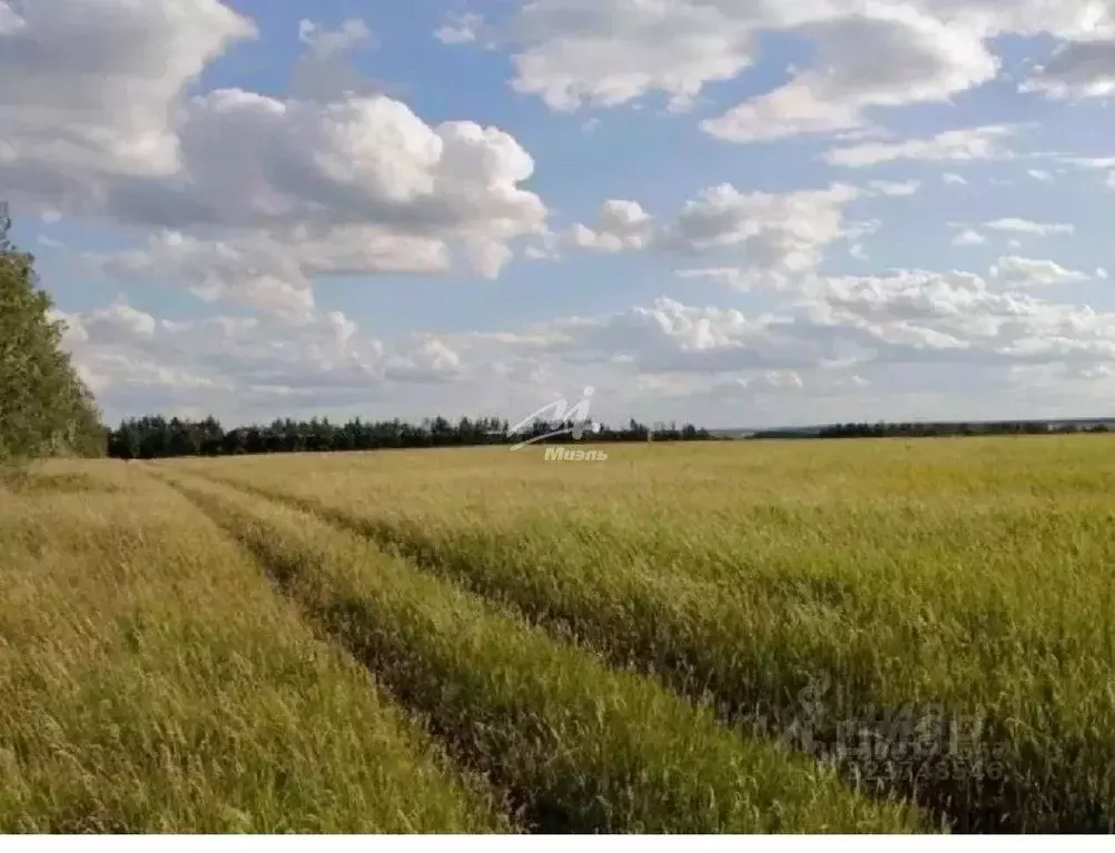 Участок в Крым, Красноперекопский район, с. Орловское  (3.2 сот.) - Фото 1