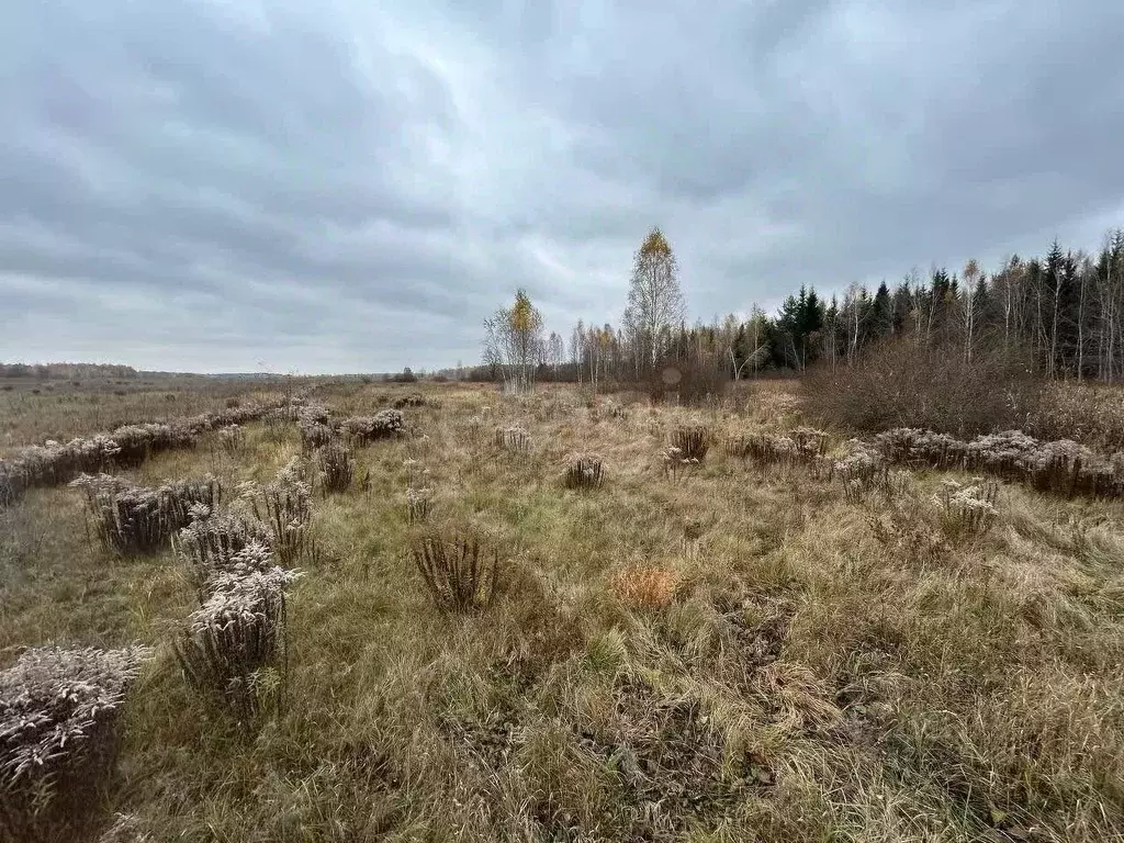 Участок в Брянская область, Брянский район, Нетьинское с/пос, пос. ... - Фото 2