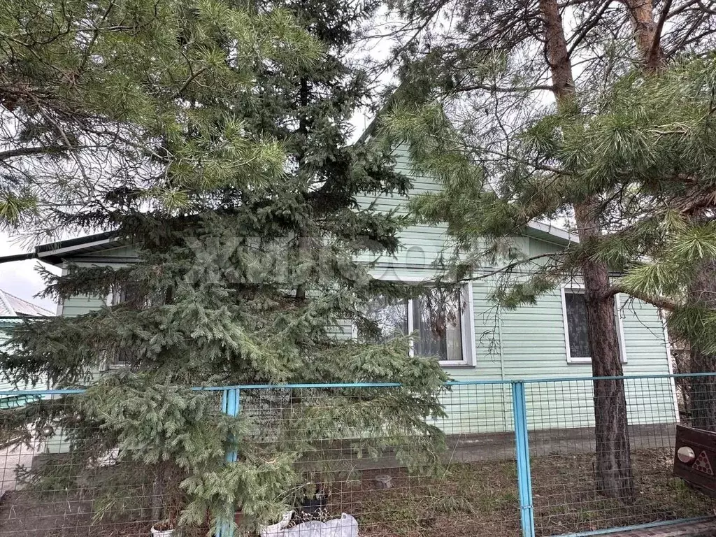 Дом в Новосибирская область, Новосибирский район, Боровской сельсовет, ... - Фото 1