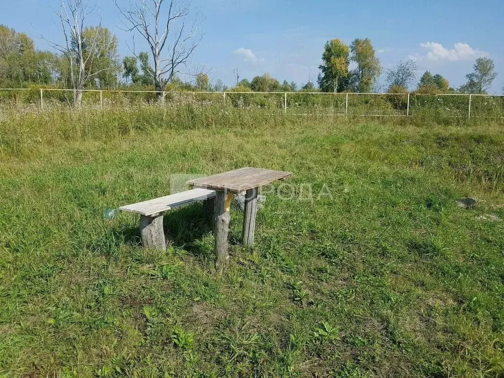 Участок в Новосибирская область, Колыванский район, Союз силовых ... - Фото 1