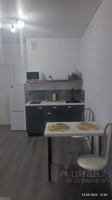 Студия Санкт-Петербург Дальневосточный просп., 23 (24.0 м) - Фото 2