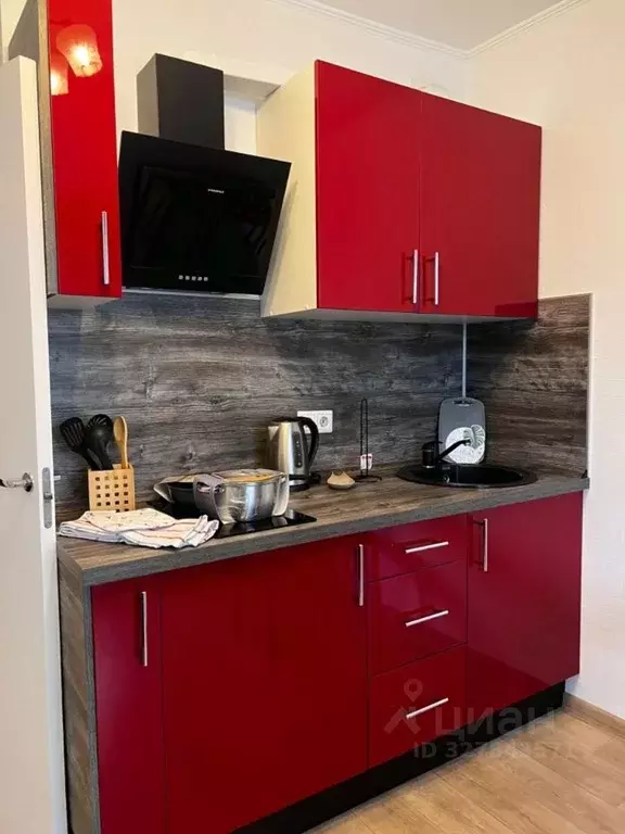 Студия Ленинградская область, Всеволожский район, пос. Бугры бул. ... - Фото 2