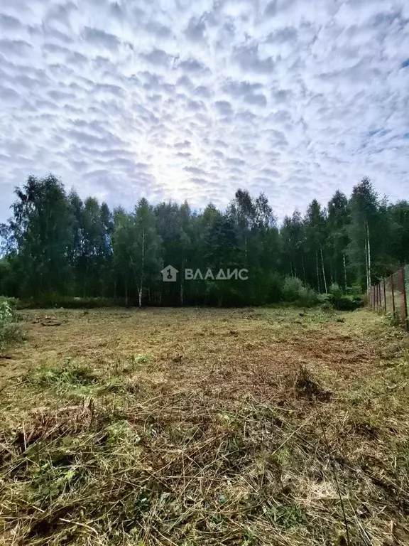 Участок в Владимирская область, Владимир Лунево мкр, ул. Луневская ... - Фото 2