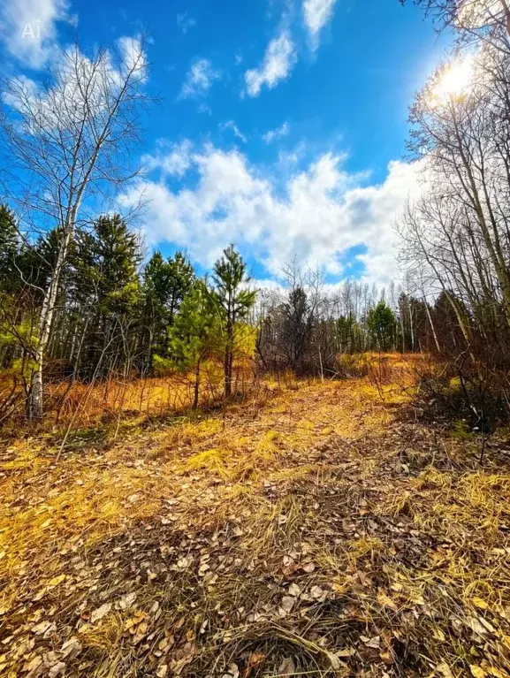Участок в Иркутская область, Иркутский муниципальный округ, Мечта ДНТ ... - Фото 0