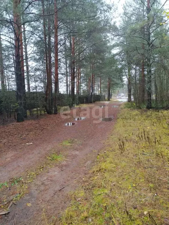 Участок в Архангельская область, Котлас муниципальное образование, д. ... - Фото 1