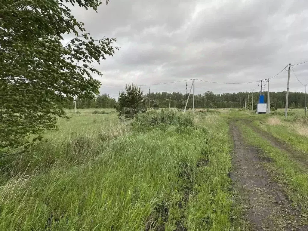 Участок в Курганская область, Кетовский муниципальный округ, д. ... - Фото 2