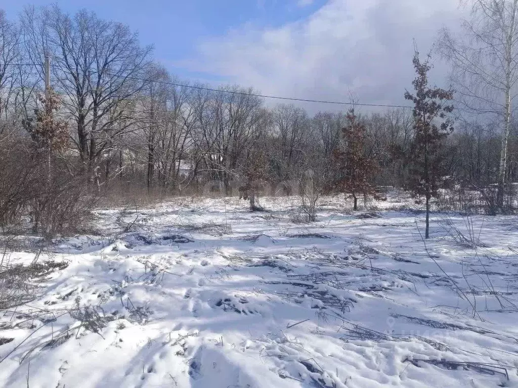 Участок в Брянская область, Брянск Родничок СНТ,  (6.3 сот.) - Фото 0