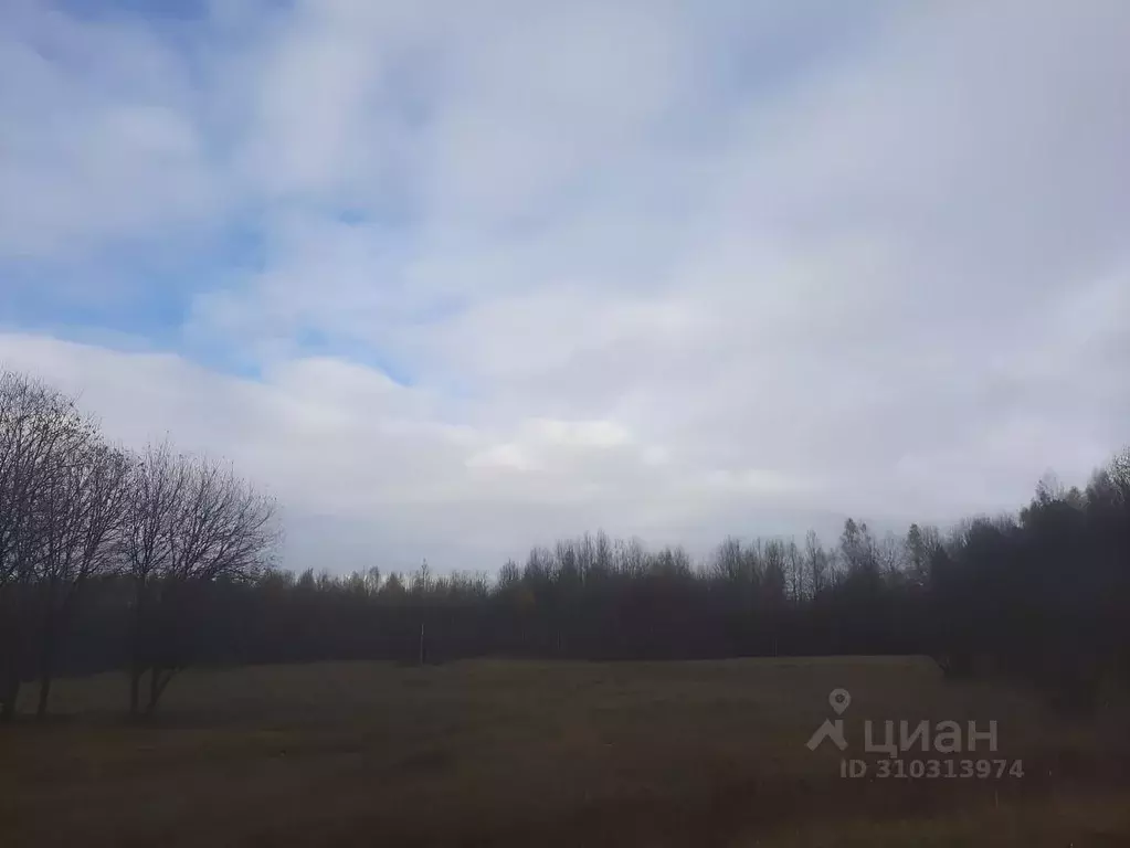 Участок в Тверская область, Кимрский муниципальный округ, д. Ларцево  ... - Фото 1