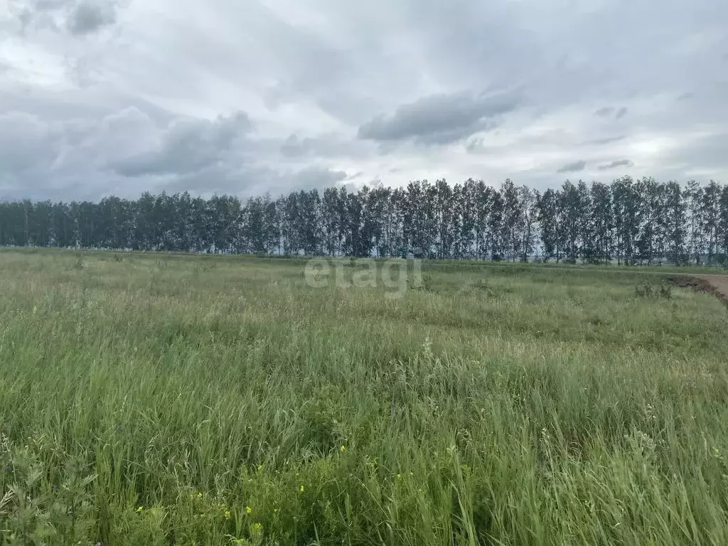 Участок в Башкортостан, Кармаскалинский район, Кабаковский сельсовет, ... - Фото 2
