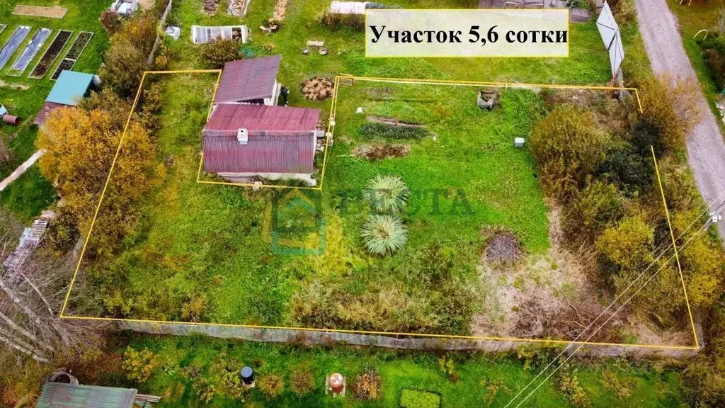 Участок в Ленинградская область, Выборгский район, Первомайское с/пос, ... - Фото 2