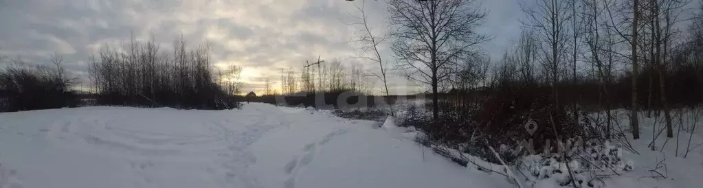 Участок в Тюменская область, Тюмень Малинка садовое товарищество, ул. ... - Фото 1