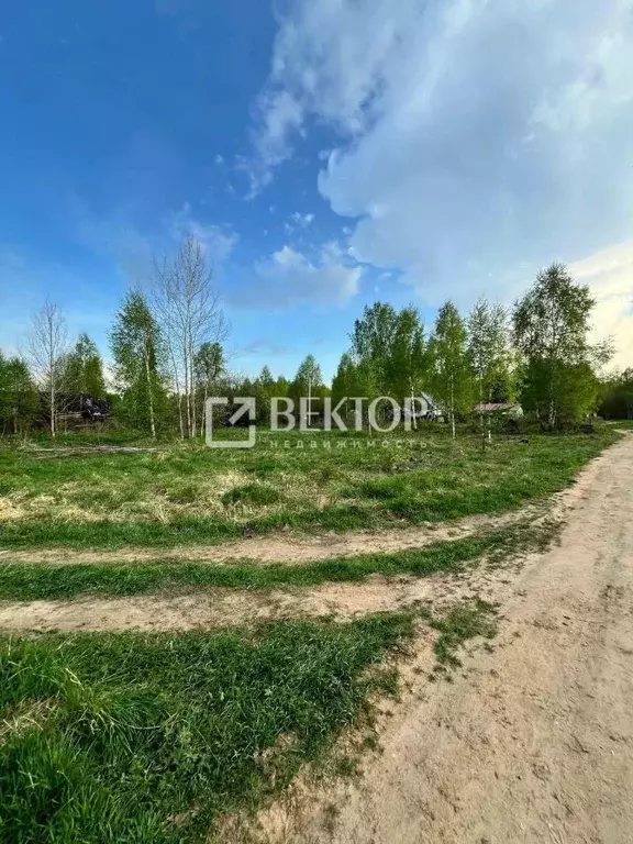 Участок в Костромская область, Судиславский муниципальный округ, д. ... - Фото 2